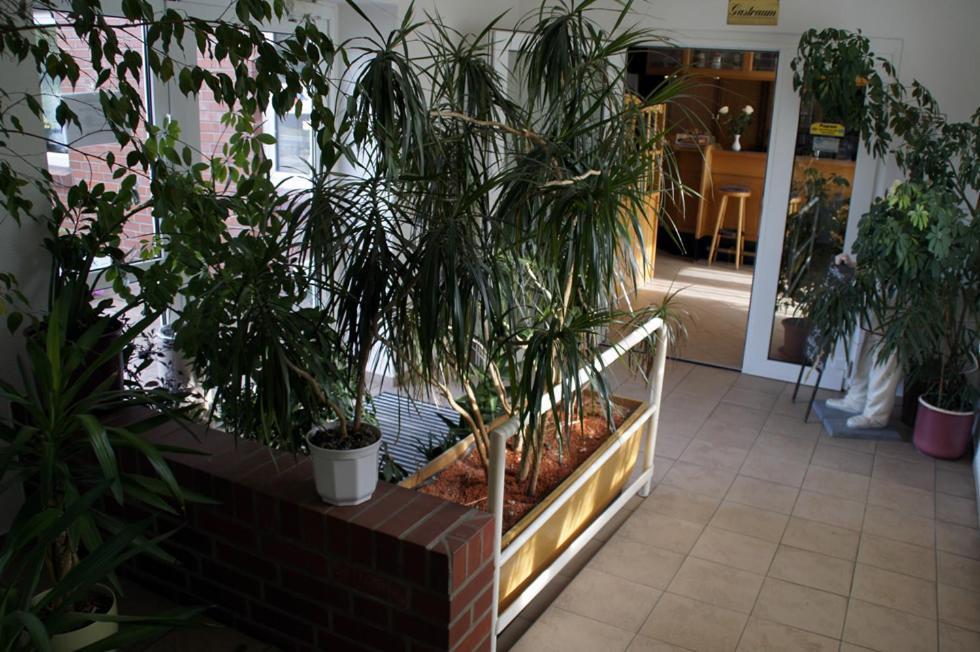 Landhotel Pagram-Frankfurt/Oder Frankfurt  ภายนอก รูปภาพ
